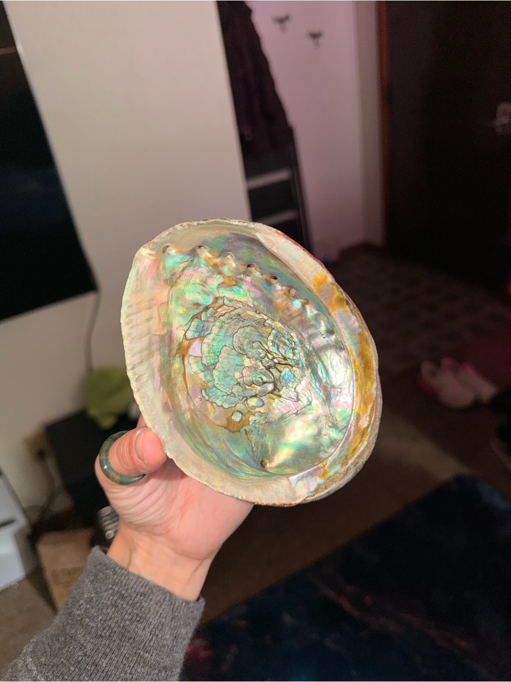Iridescent Abalone Shell Decorative Bowl
